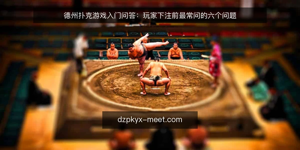 德州扑克游戏入门问答:玩家下注前最常问的六个问题 — 德州扑克游戏入门要先弄清哪些前提? 配图