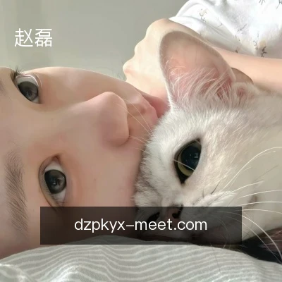 赵磊